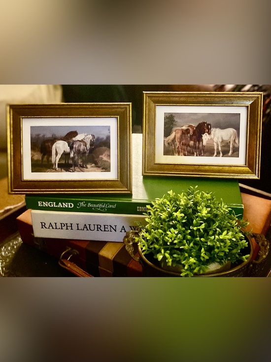 Hunt & Magnolia Other - Pair of Horse Equestrian Reproduction Framed Prints Each 5 x 7